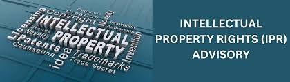Intellectual Property Rights (IPR) Advisory