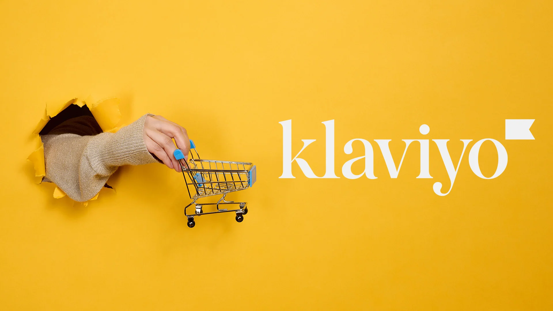 Klaviyo Flow Setup for E-commerce Abandoned Cart