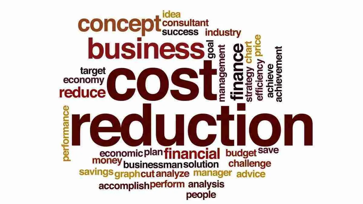 Profitability Analysis and Cost Reduction Plan